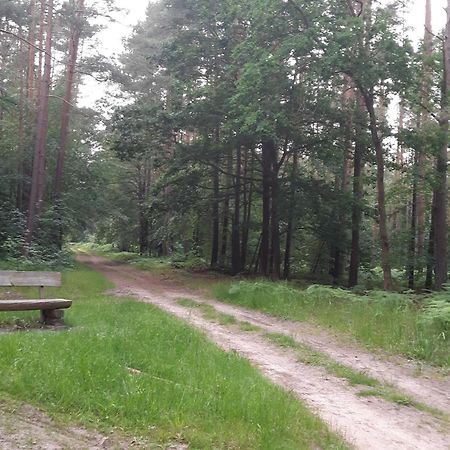 Апартаменты Auf Dem Hufen Рибниц-Дамгартен Экстерьер фото